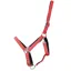 Hy Equestrian Glitzy Headcollar - Red